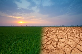 بزرگترین مسئله قرن بیست و یکم؛ تغییرات آب و هوایی به سرعت در حال نابودی جهان است
