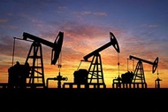 جینسنگ چیست؟