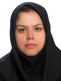سنگ جدید مقابل ساخت‌و‌ساز