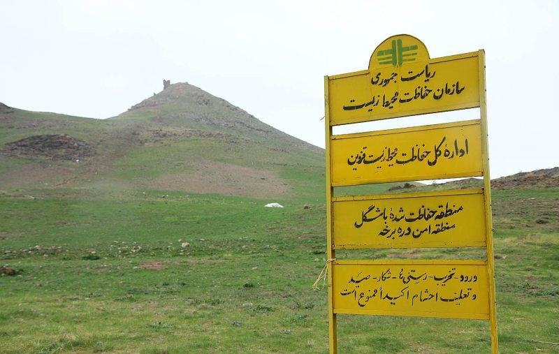 دستگیری متخلفان در باشگل تاکستان