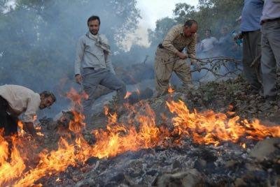 آتش سوزی پاسارگاد ادامه دارد ؛ آتش در زیستگاه خرس قهوه‌ای