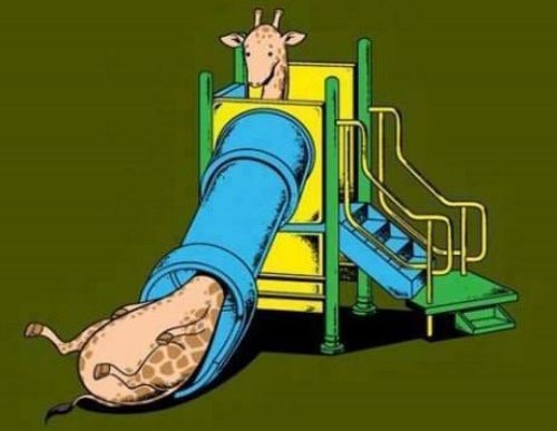 واقعا دل سوزی داره از خیلی از تفریحات محرومه زرافه بیچاره