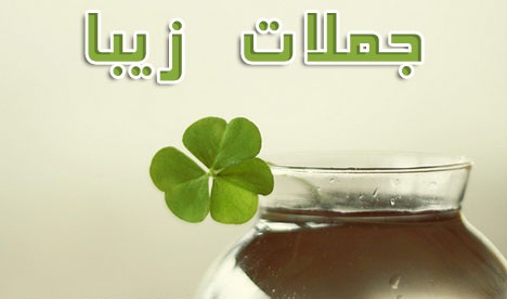 آخرین حرف کولیان