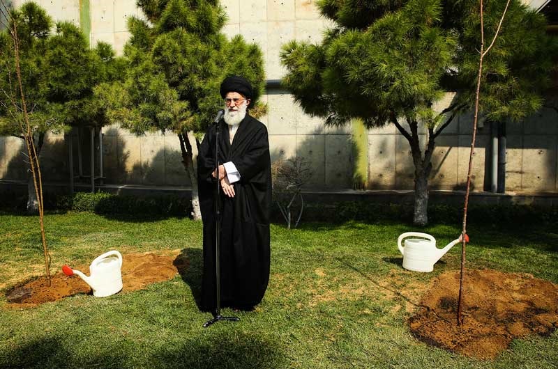 کاشت نهال به مناسبت هفته منابع طبیعی