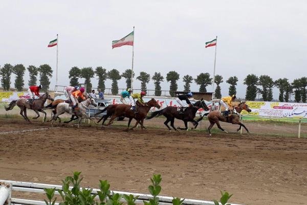 ۵۹ راس اسب در هفته دوم کورس پاییزه گنبد رقابت می‌کنند