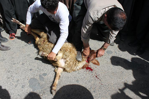 معرفت و جوانمردی و عطوفت ما کجا رفته؟