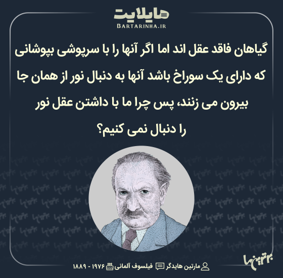 هایلایت (496)