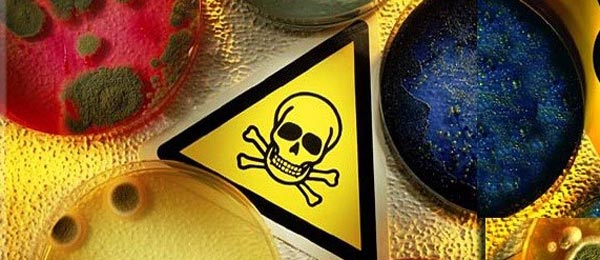 دپارتمان توکسیتولوژی در آزمایشگاه نوبل