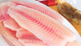 این ماهی را بخورید، آلزایمر می‌گیرید!