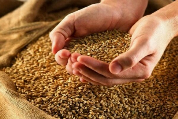 ممنوعیت بذر خودمصرفی/نتیجه نامبارک پیوستن به (UPOV)