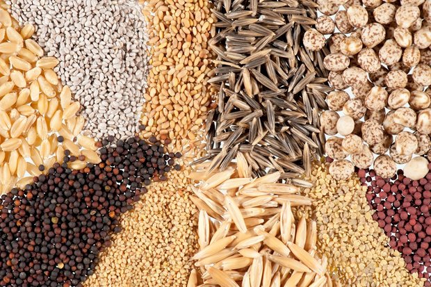 پشت پرده اصرار برای تصویب یک لایحه