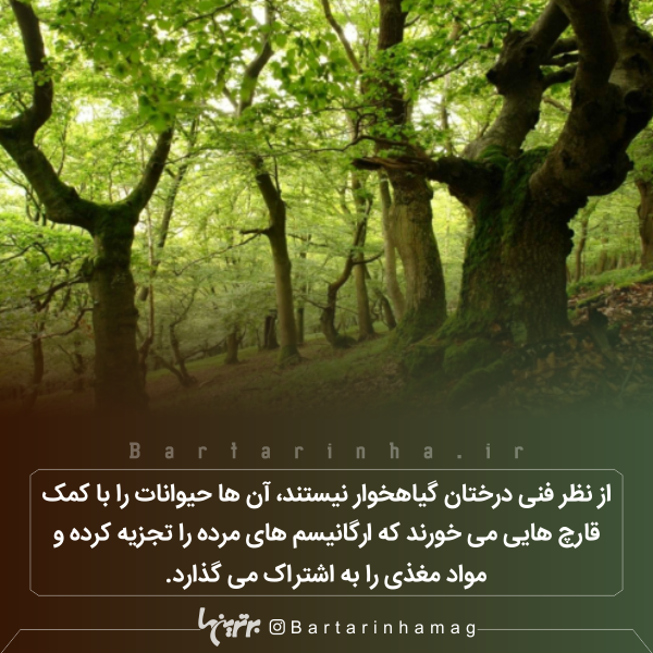 دانستنی‌های جالب (۲۷۵)