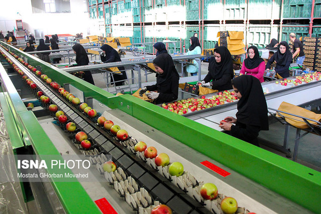 فعالیت 256 سورتینگ غیرمجاز در مازندران