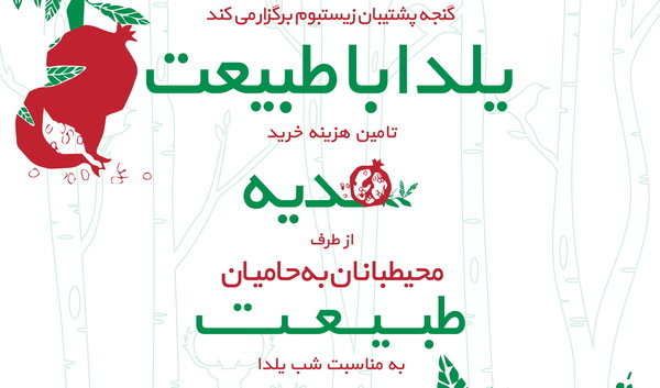 کاشت درخت، شناخت گیاهان و حمایت از محیط‌بانان برای حفظ محیط زیست