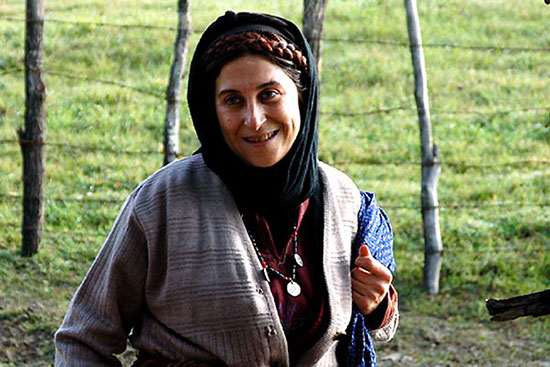 تغییر چهره‌های ماندگار در فیلم‌های سینمایی ایران