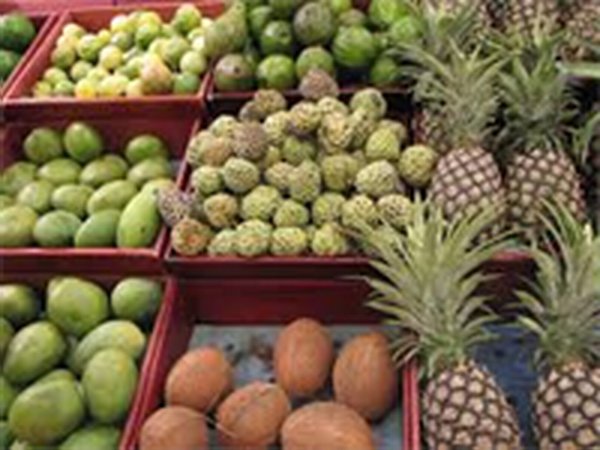 احتمال کاهش قیمت میوه شب عید/نگاهی به گرانترین میوه بازار کرج