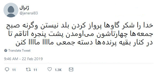 شوخی‌های جالب شبکه‌های اجتماعی؛ بری شیک میخورم!