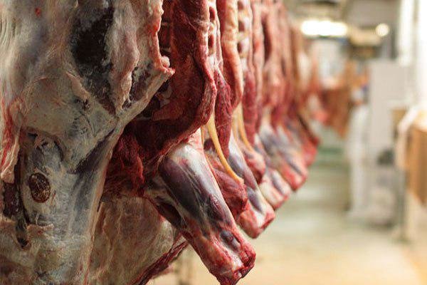 کاهش محسوس قیمت گوشت قرمز/ زمینه برای کاهش بیشتر قیمت‌ها فراهم است