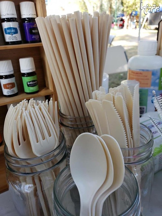 شرکت‌هایی که دنیا را جای بهتری برای زندگی می‌کنند