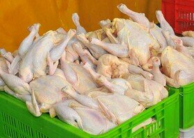 گوشت مرغ همچنان دونرخی است