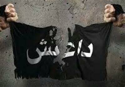 بازگشت ۲۹ داعشی الجزایری به کشورشان با هواپیمای آمریکا