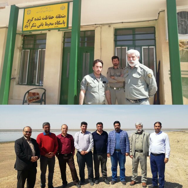 آبگیری 98 درصد تالاب بندعلیخان در دشت ورامین + فیلم