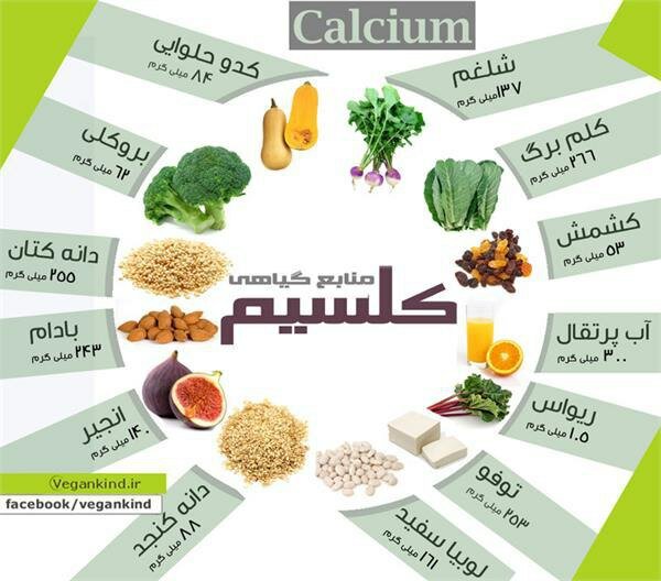 کمبود کلسیم در ورزشکاران سبب گرفتگی عضلات و کشیدگی تاندون‌ها می‌شود