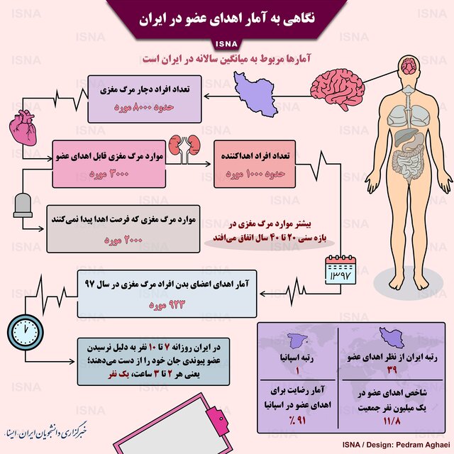 اینفوگرافی / نگاهی به آمار اهدای عضو در ایران