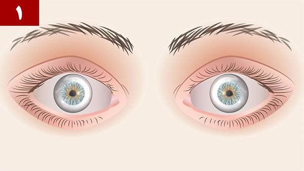 حقایقی جالب درباره بدن انسان که ۵ دقیقه قبل نمی‌دانستید