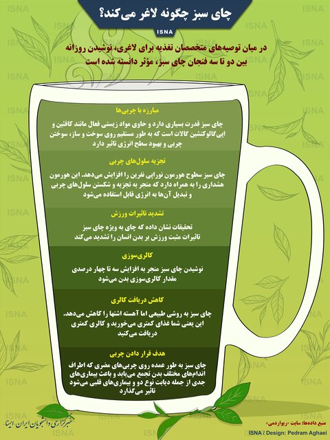اینفوگرافی / چای سبز چگونه لاغر می‌کند؟