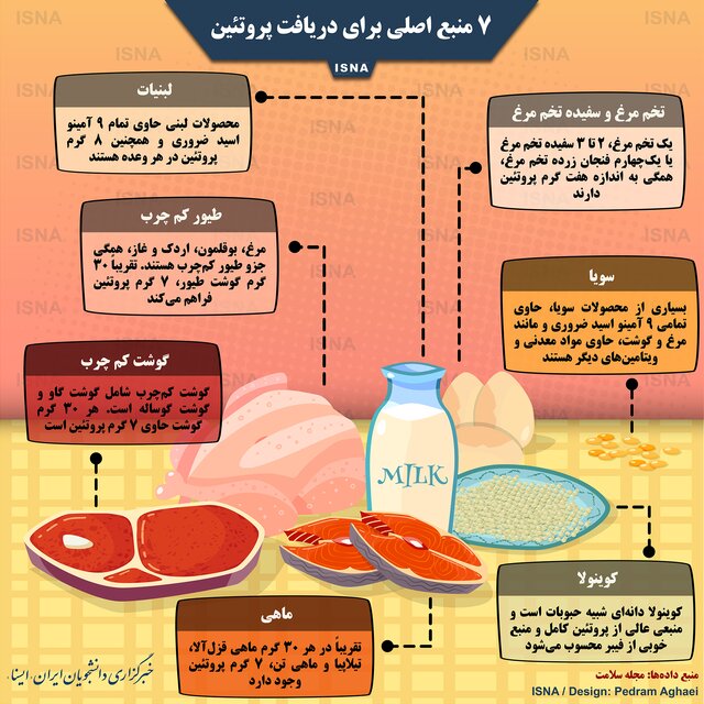 اینفوگرافی / ۷ منبع اصلی برای دریافت پروتئین