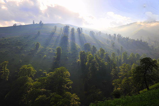 تابستان‌گردی در طبیعت زیبای ماسال