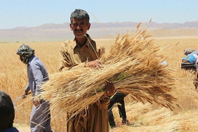 نیاز به ۳۶ هزار پهپاد در بخش کشاورزی کشور