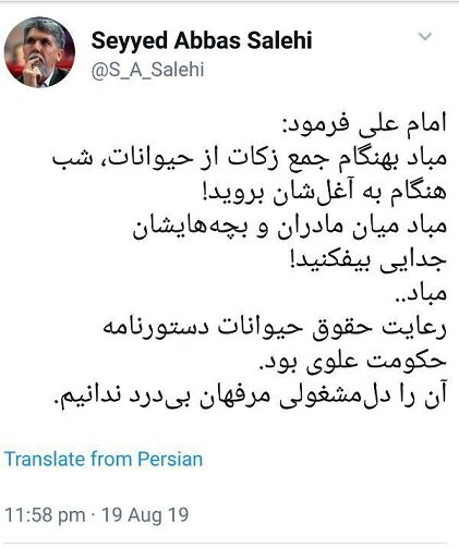 واکنش وزیر ارشاد به ماجرای حیوان‌آزاری