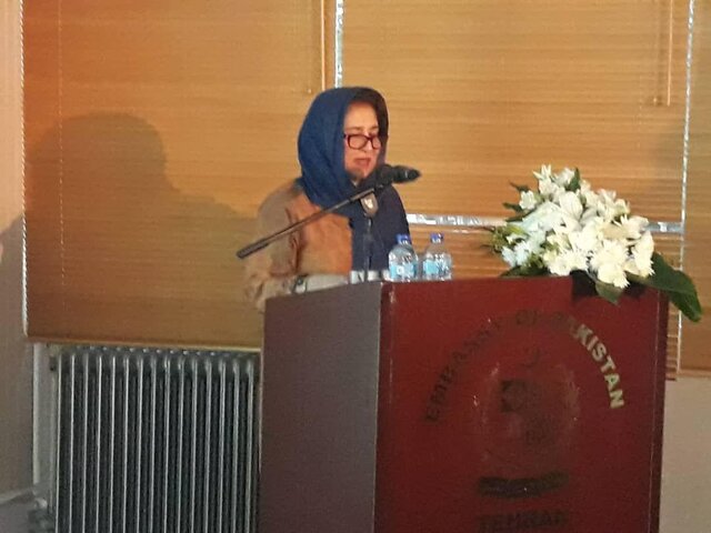 برگزاری روز دفاع پاکستان با عنوان “روز همبستگی کشمیر”