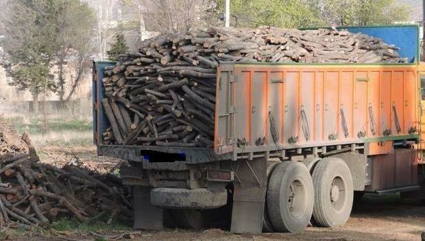 دامن جنگل‌های زنجان آب می‌رود