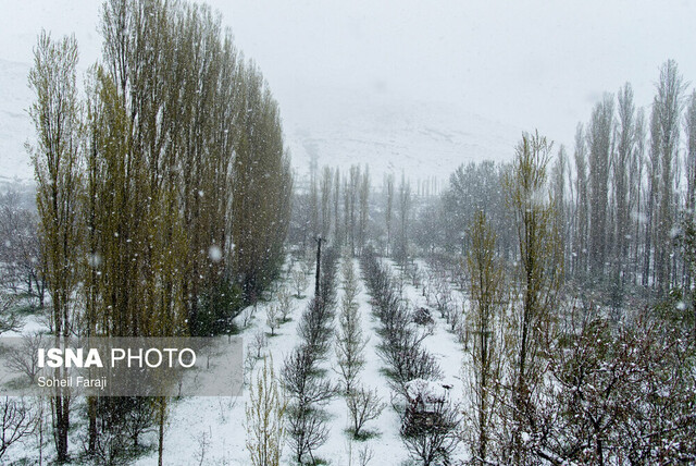 بارش برف و باران در کشور