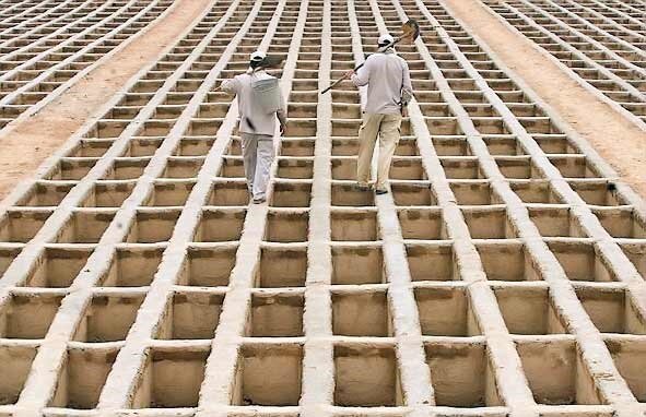 نقش مسمومیت، بلایای طبیعی و سوانح جاده‌ای در مرگ و میر ایرانیان