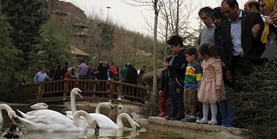 باغ پرندگان تهران؛ تماشای هزاران پرنده در پایتخت