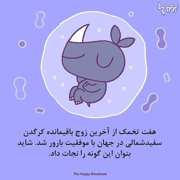 تصویرسازی‌های جالب از بهترین خبر‌های سال ۲۰۱۹