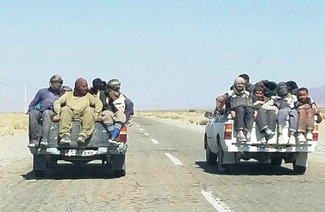 ماجرای اندوهناک افغان‌کِش‌های افغان‌کُش – صلح خبر