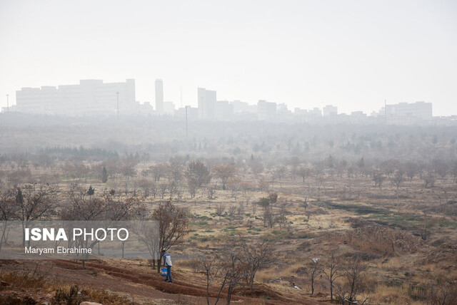 درخواست دو نماینده برای حل مشکل آلودگی هوا