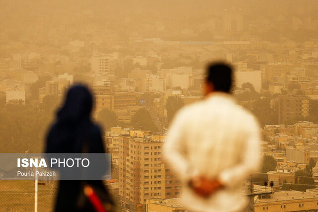 مطالعات بین‌المللی، ارتباطی بین آلودگی هوا و سوسک‌های قرمز نشان نمی‌دهد