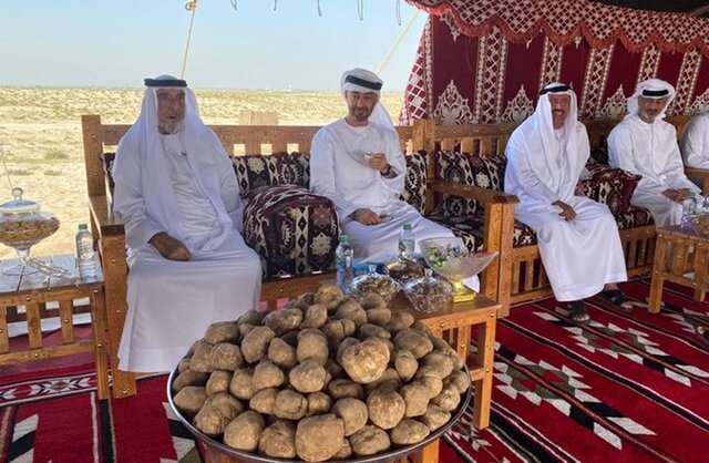 آفتابی شدن رئیس امارات – صلح خبر