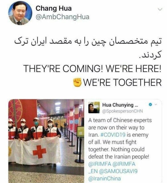 متخصصان چینی راهی ایران شدند