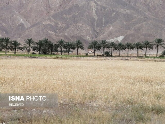 انتقال محل عبور خط انتقال نفت از ایستگاه آبخوان اهرم به مسیر جدید