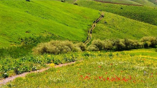 سارال کردستان تلفیقی از بهار و زمستان در یک قاب+عکس