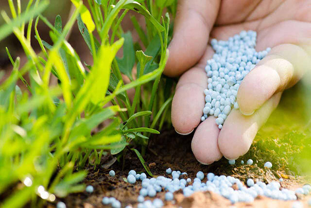 خلاصه مهمترین اخبار مجلس در روز یکم تیر ماه