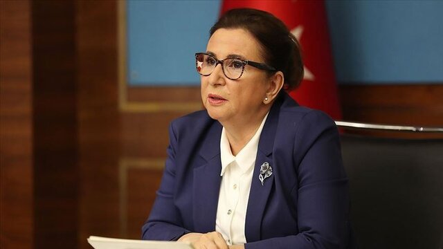 ترکیه از بازگشایی مرزهای زمینی خود با ایران و عراق خبر داد