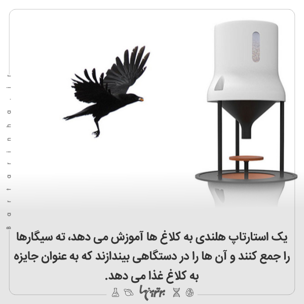 دانستنی‌های جالب؛ معمای زنان خال‌دار!